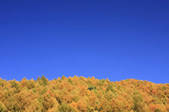 tkf001_815068