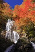 tkf001_815073