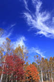 tkf001_815075