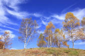 tkf001_815076