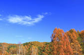 tkf001_815078