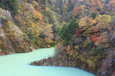 tkf001_815093