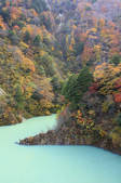 tkf001_815094