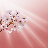 tkf001_815124