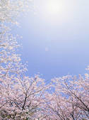 tkf001_815125