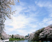 tkf001_815128