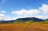 tkf001_815159