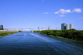 tkf001_815169