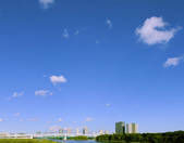 tkf001_815170