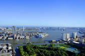 tkf001_815172