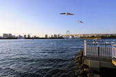 tkf001_815208