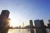 tkf001_815215