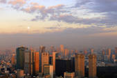 tkf001_815217