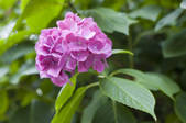 tkf001_815237