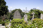 tkf001_815245