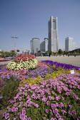 tkf001_815248