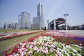 tkf001_815249