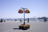 tkf001_815274