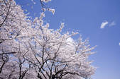 tkf001_815275