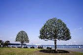 tkf001_815279