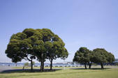 tkf001_815280