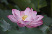 tkf001_815310