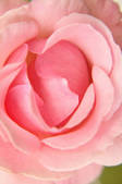 tkf001_815511