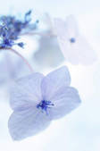 tkf001_816082