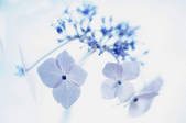 tkf001_816083
