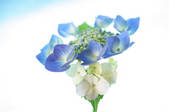 tkf001_816094