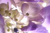 tkf001_816103