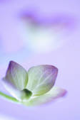 tkf001_816135