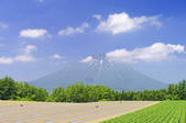 tkf001_816214