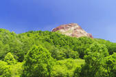 tkf001_816216