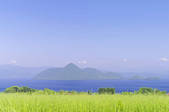 tkf001_816222