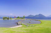 tkf001_816223