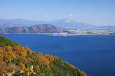 tkf001_817521