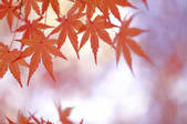 tkf001_818507