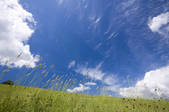 tkf001_820051