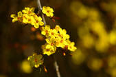tkf001_820331
