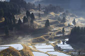 tkf001_823599