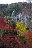 tkf001_824605