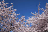 tkf001_825887