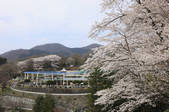 tkf001_826556
