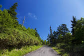 tkf001_826858