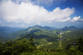 tkf001_826861