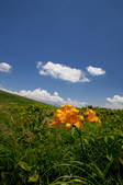 tkf001_828026
