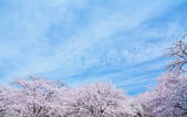 tkf001_829402