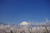 tkf001_829404