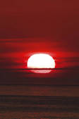 tkf001_830266